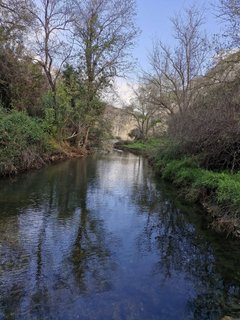 Torrente Porcaria